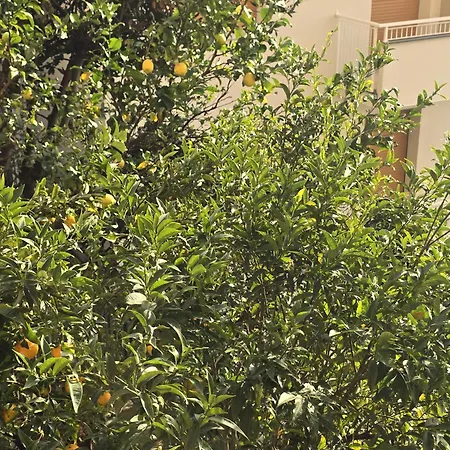 Vistamare In Liguria Appartement *